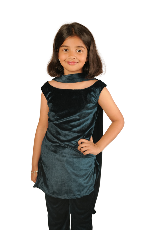 Ameyru Royal Velvet Palazzo Set