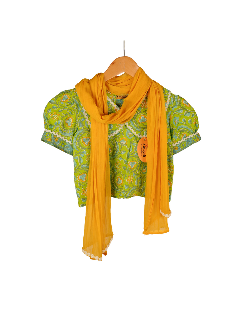 Ameyru Green & Yellow Floral Lehenga Choli Set