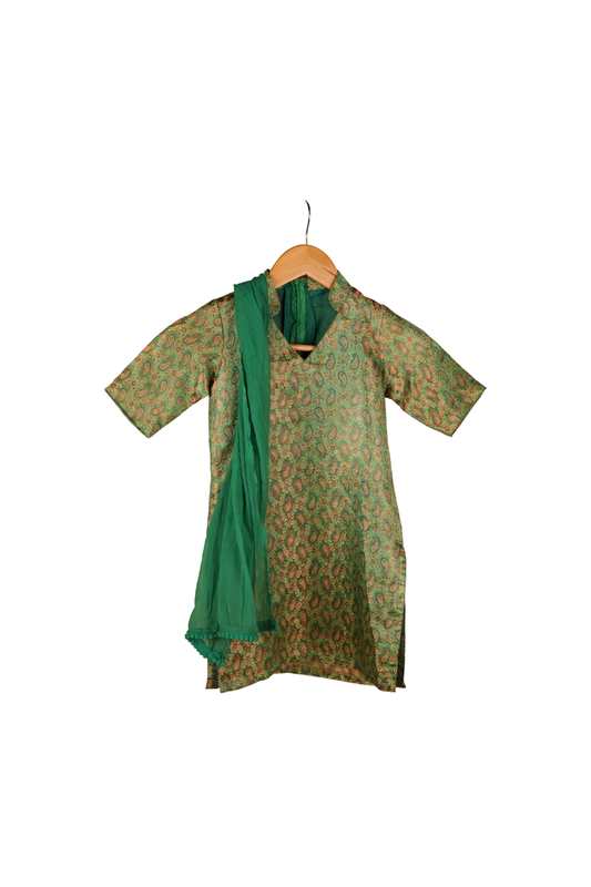 Ameyru Green Banarasi Brocade Sharara Set